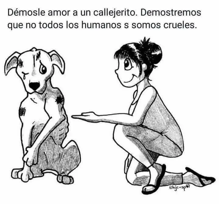 divertidas