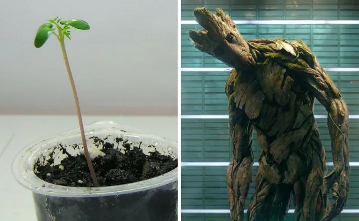 Así lucían 19 superhéroes de Marvel cuando eran unos niños