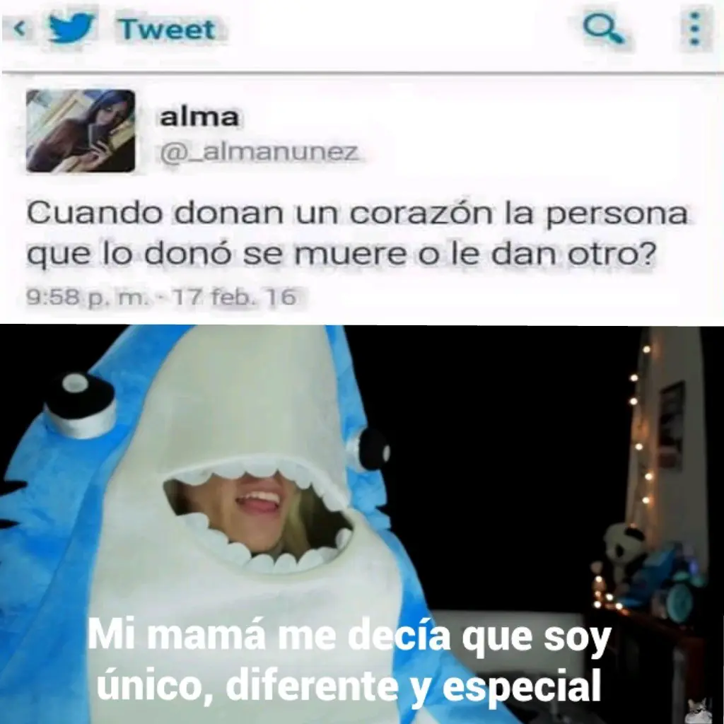 MEMES
