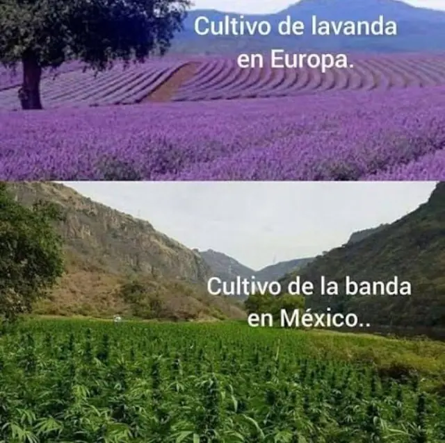 ATRAVESADO
