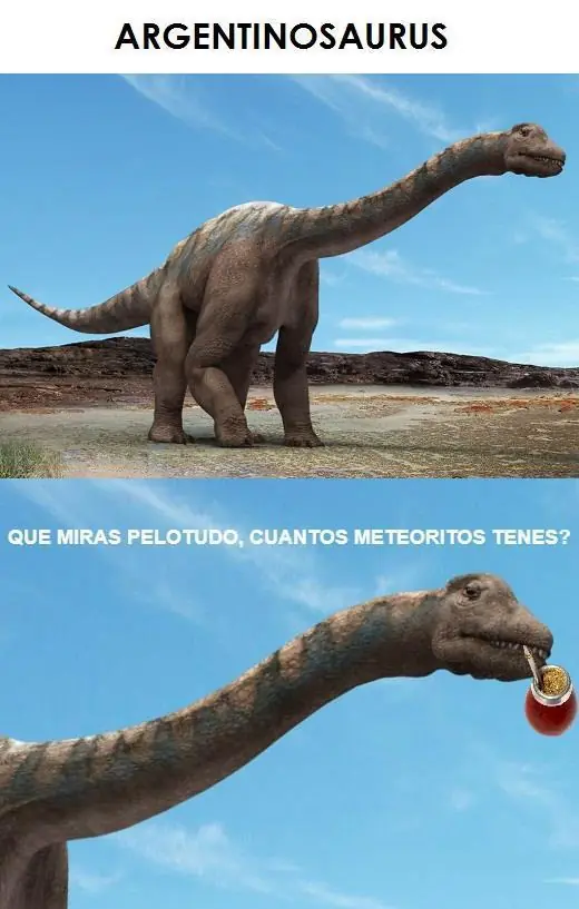 memes