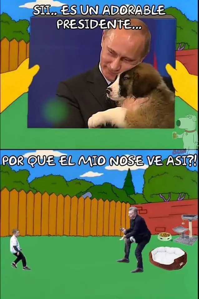 memes