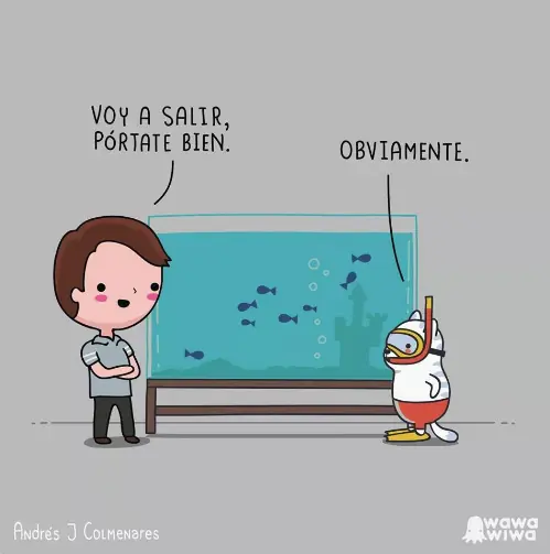 impuesto