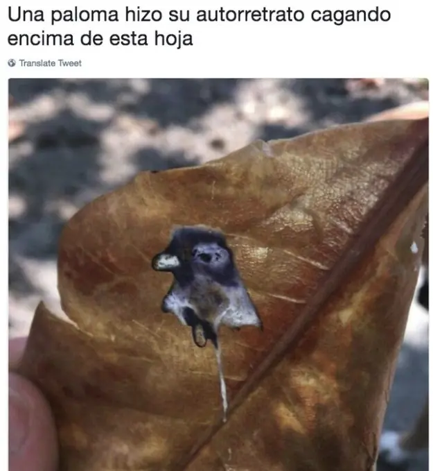 Humor cruel: para pasar hoy jueves con mucha alegría.