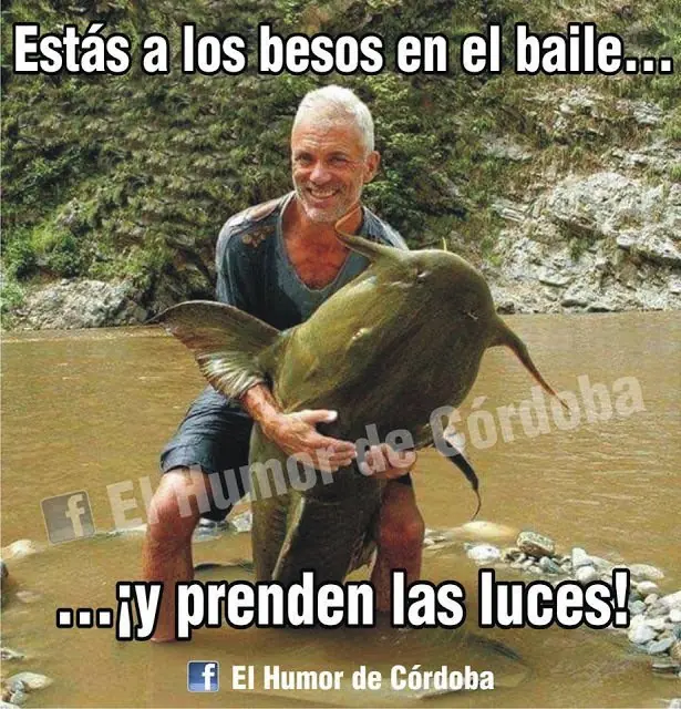 martes