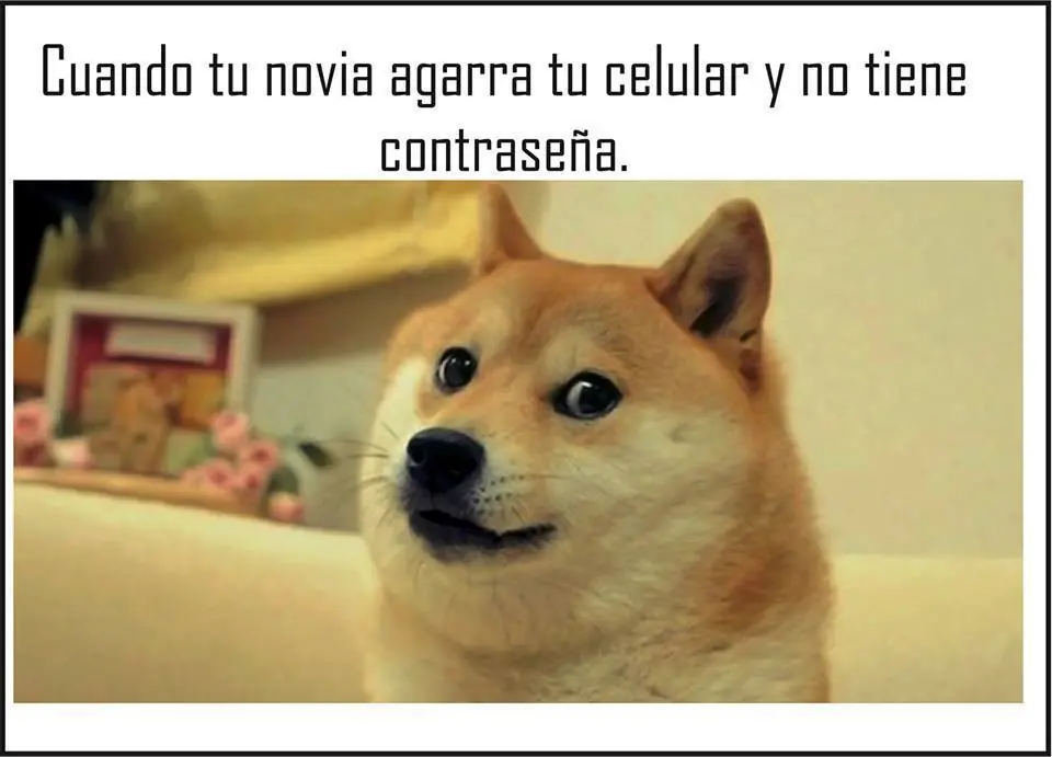 Humor de martes aburrido para vos