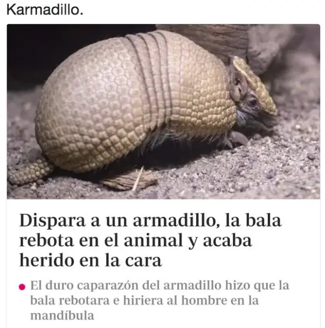 alegria