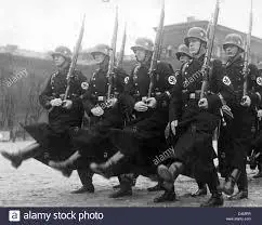 Unidades de Élite: Waffen-SS "Schutzstaffeln"