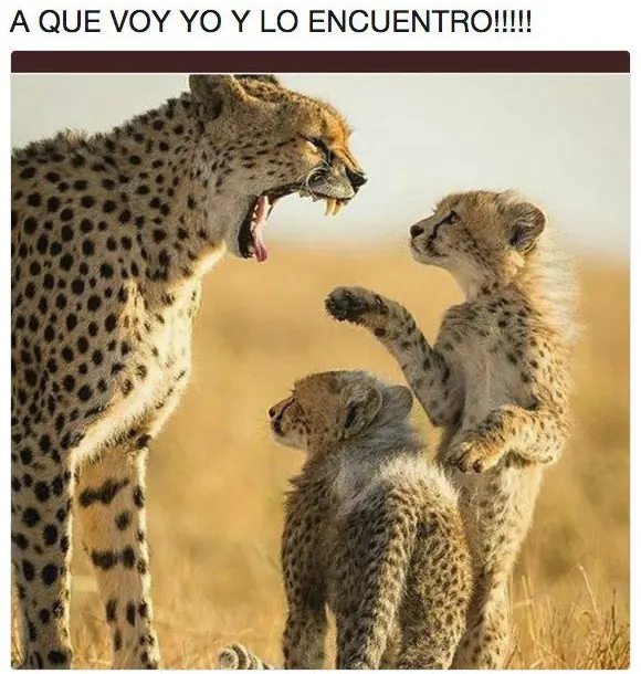 especial