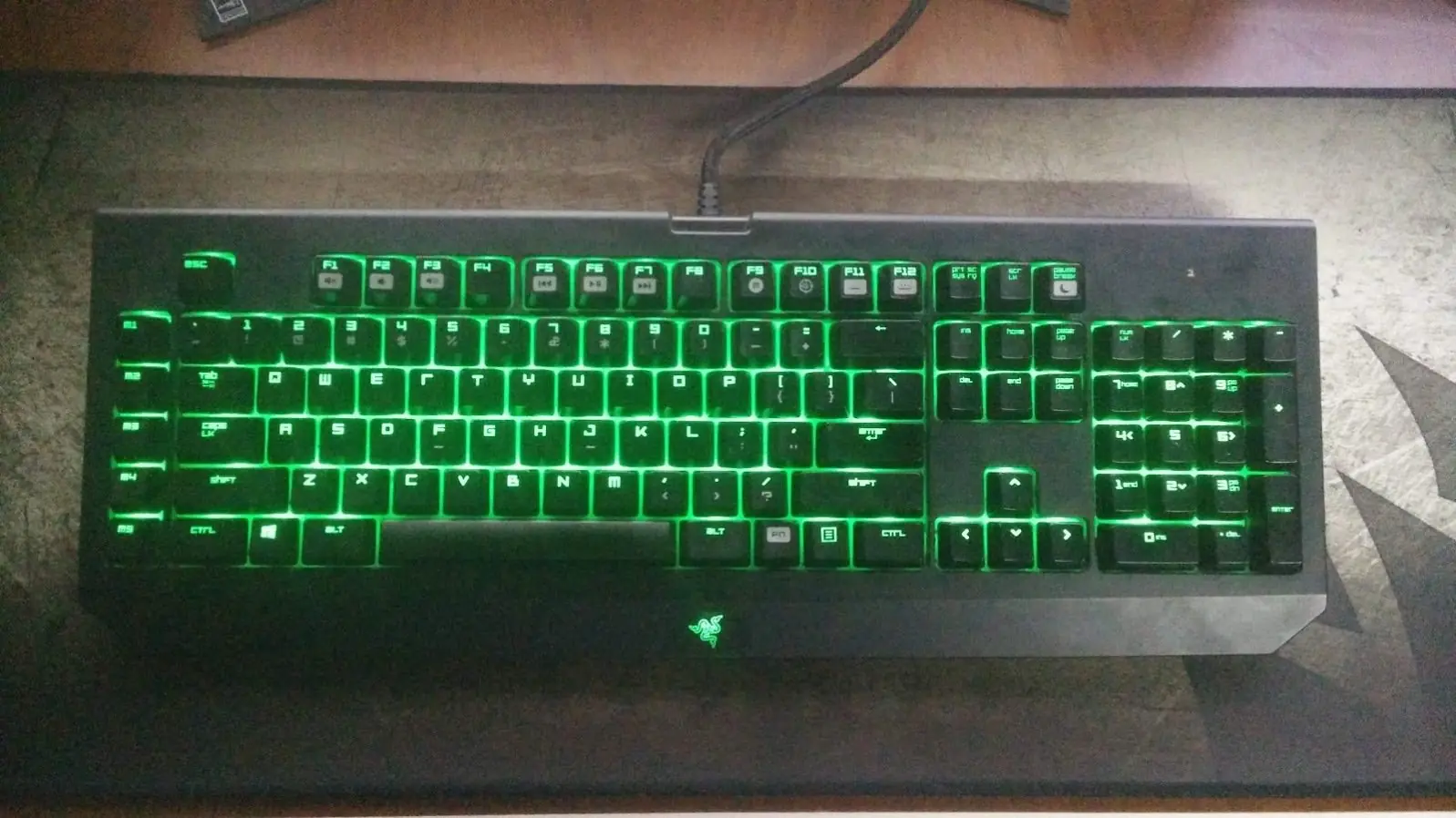 gamer