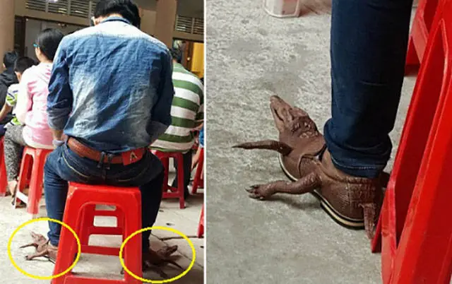 Distráete con estas imágenes wtf y curiosas. Parte 21