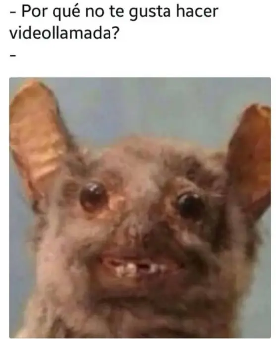 malos