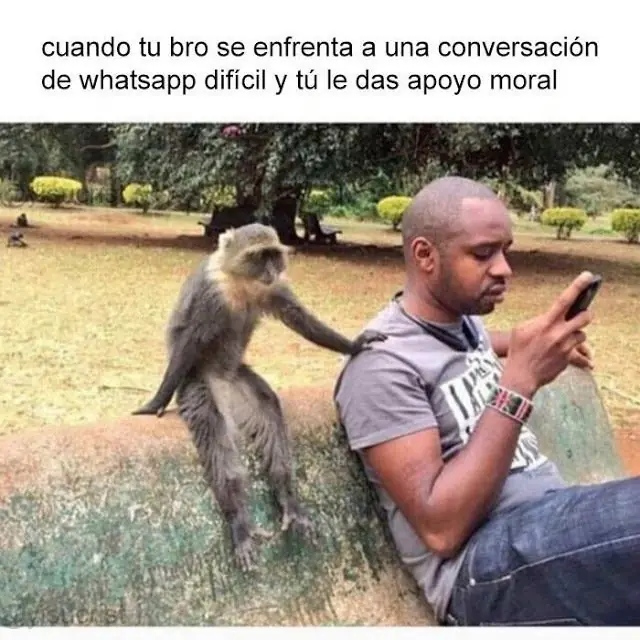memes