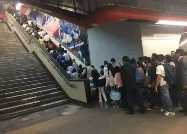 Todos