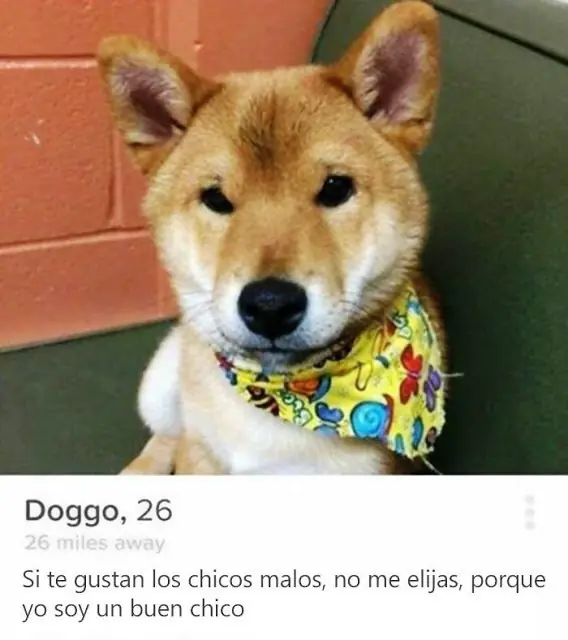 estas