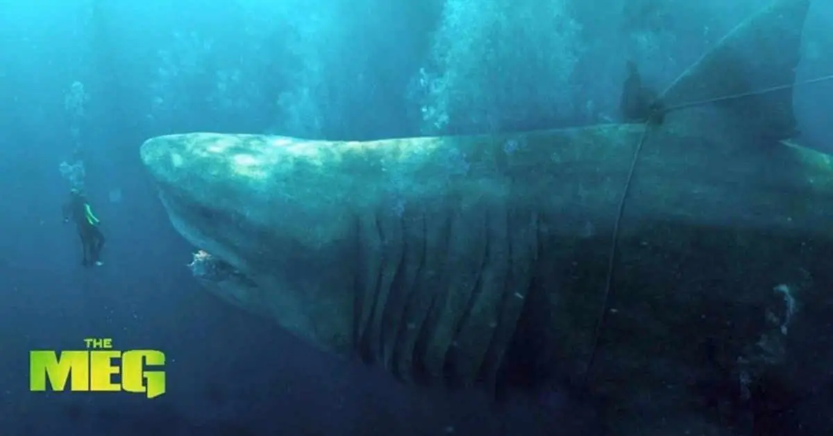 Megalodón, The Meg