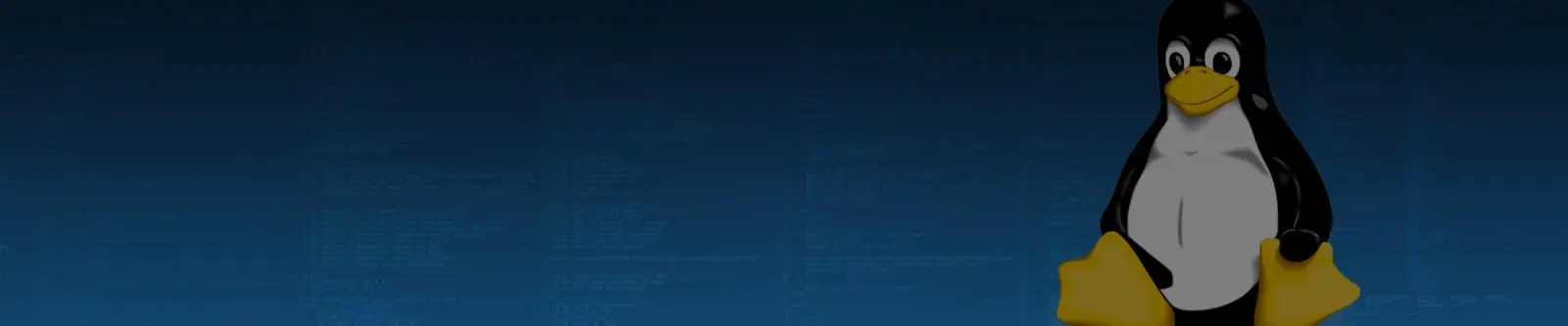 ubuntu
