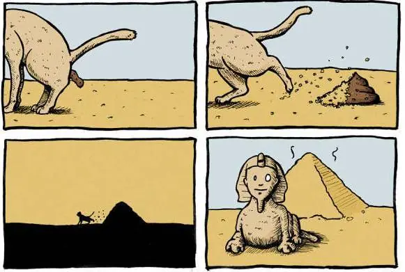 humores