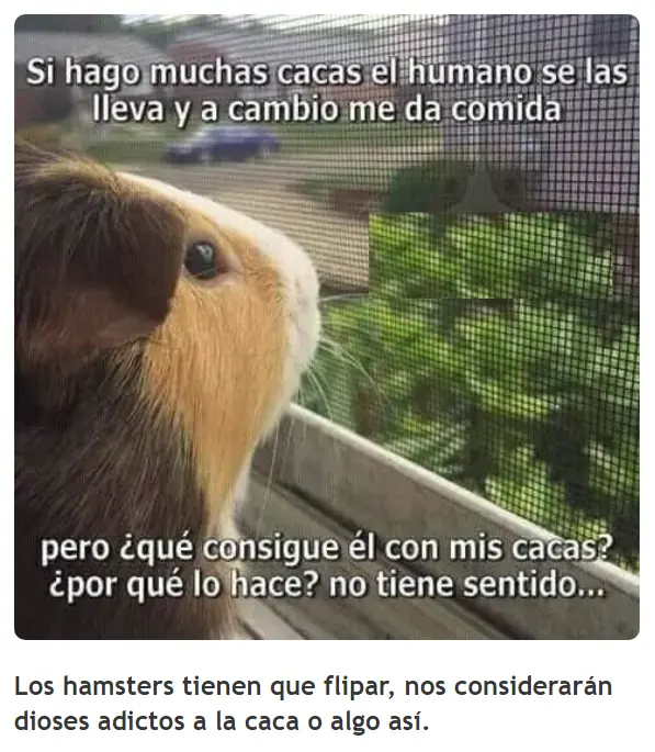 emocional