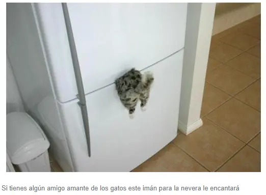 humores