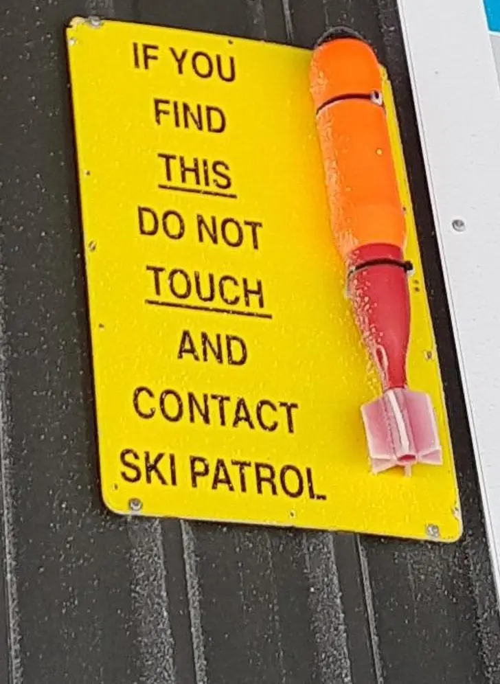 expertos
