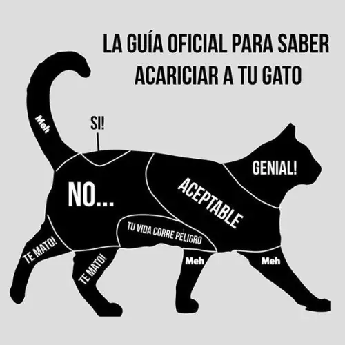 recopilacion