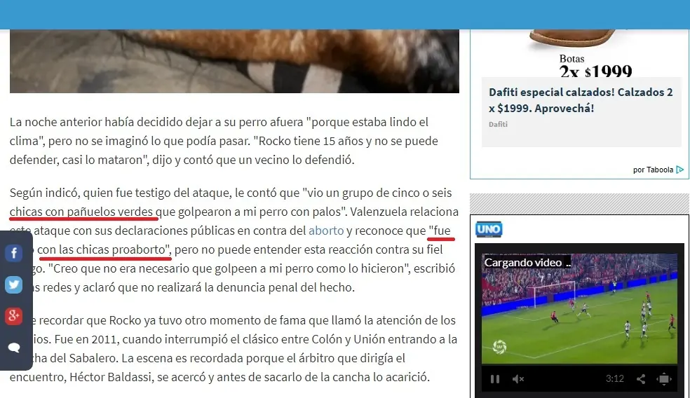 Perro