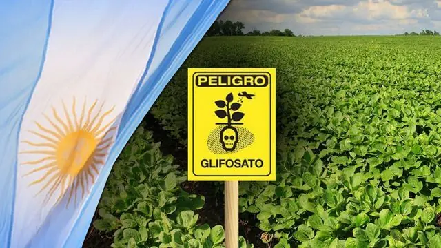 Punto Final: el Glifosato, mata. [Oficial] Multa histórica
