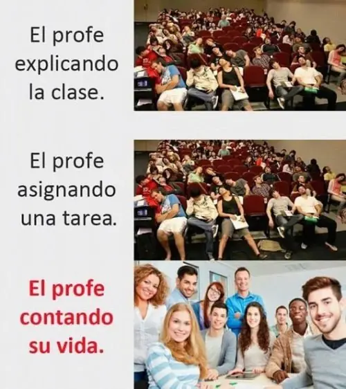 MEMES