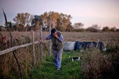 el glifosato mata causa cancer monsanto el glifosato mata causa cancer monsanto