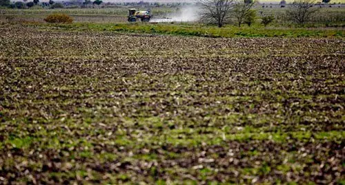 gobierno monsanto juicio gobierno monsanto juicio