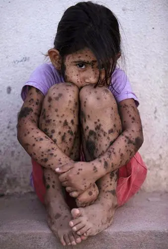 juicio a monsanto historico agosto 2018 juicio a monsanto historico agosto 2018