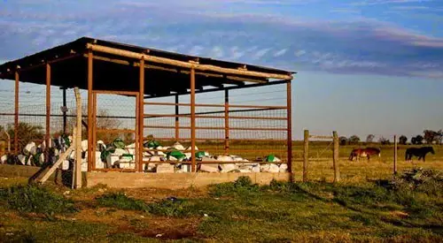 monsanto juicio multa cancer tumores salud publica glifosato monsanto juicio multa cancer tumores salud publica glifosato