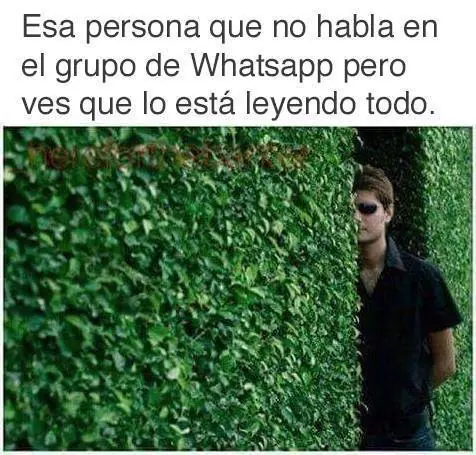 taringa
