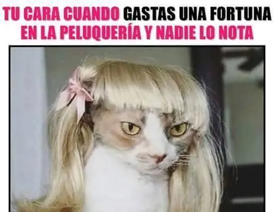 fotos