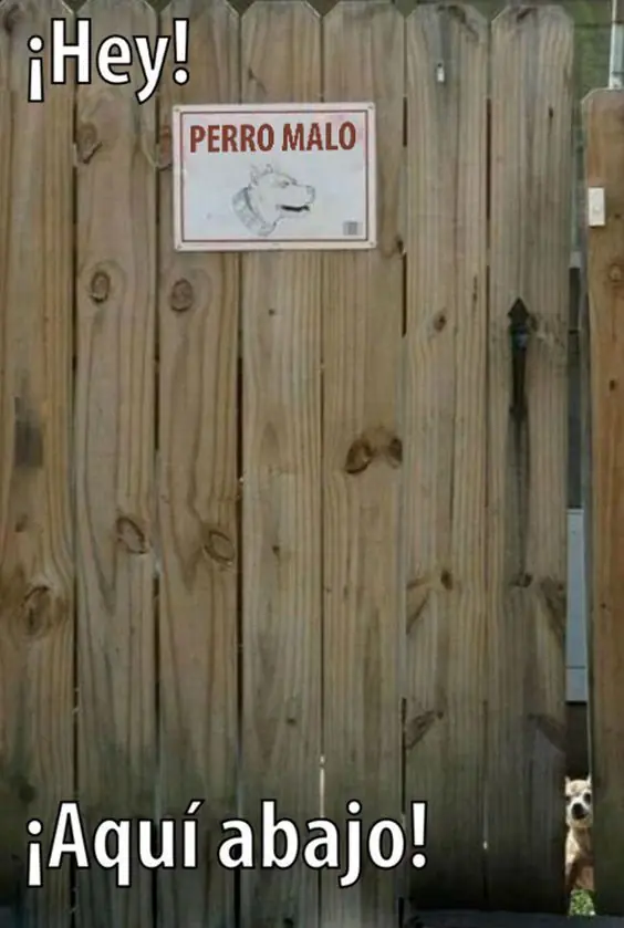 viral