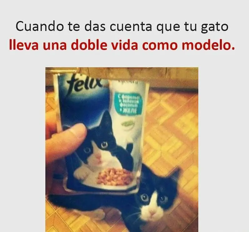 Los mejores memes que te alegrarán la semana