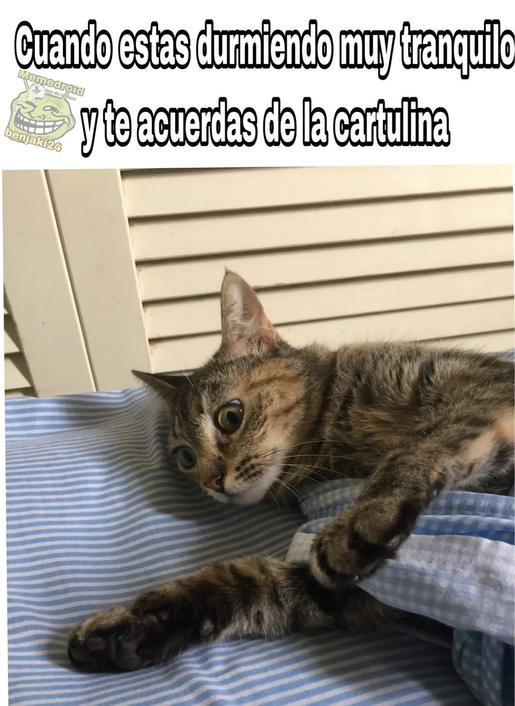 fotos
