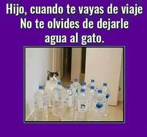 imagenes