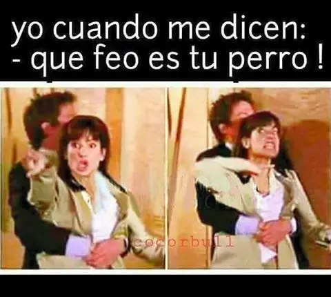 taringa
