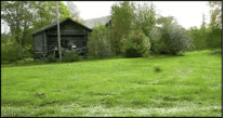 Gifs para alegrar el jueves 8