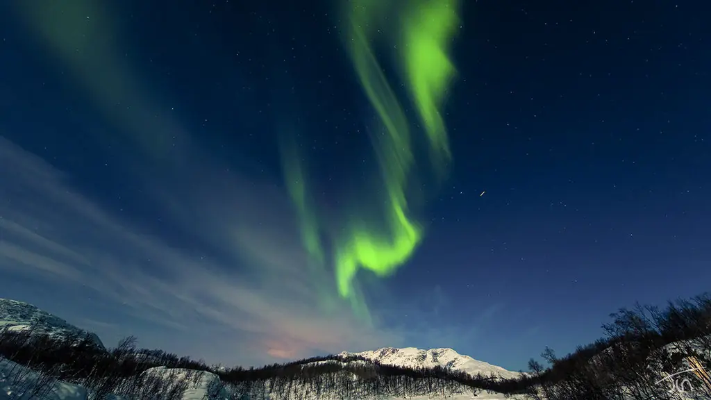 boreal