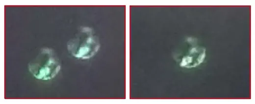 Tres esferas transparentes con figuras adentro sobre lago