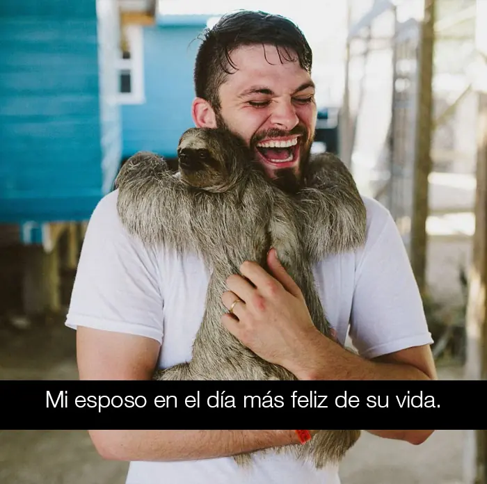 Ingeniosos snapchats de animales que te harán reír sin parar