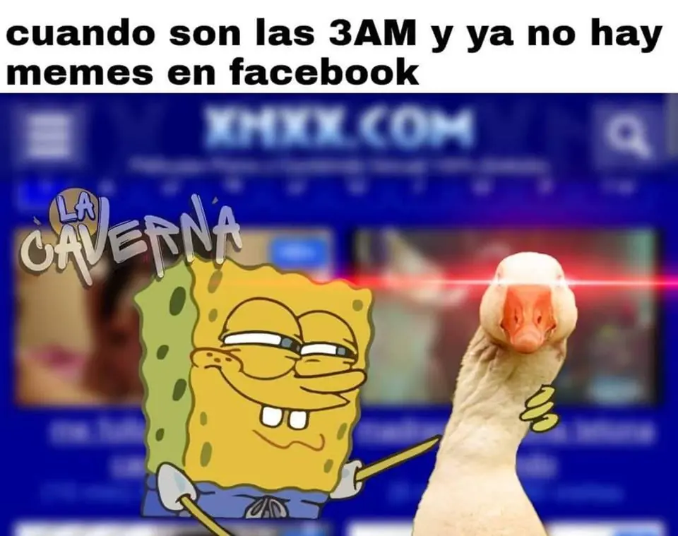 ganzo