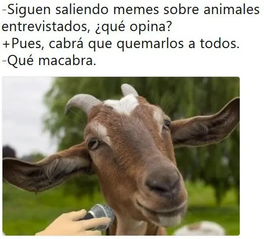 humores