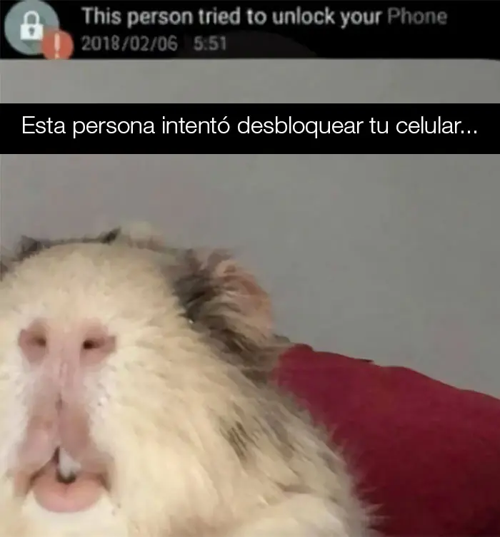 Animales