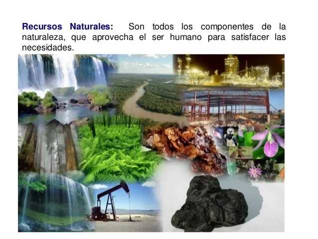 Qué diferencia hay entre oficio y profesión?