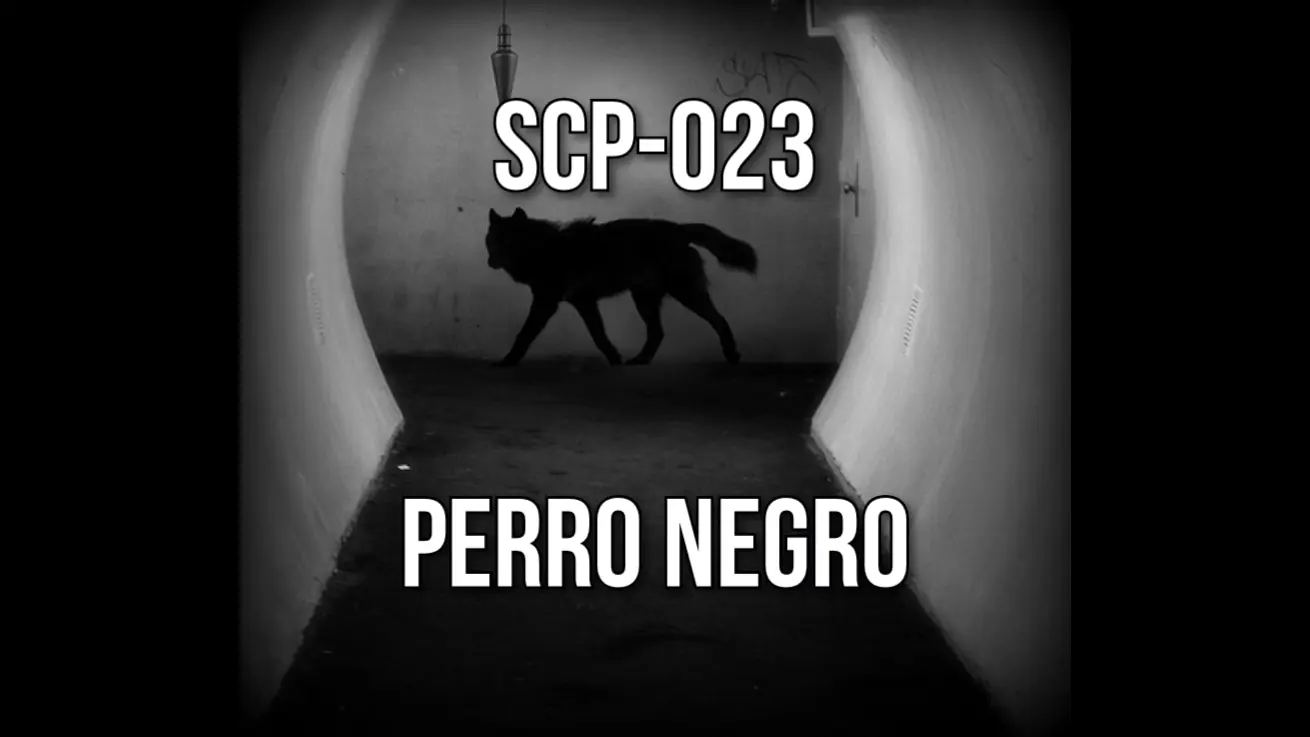 SCP-023: Perro negro