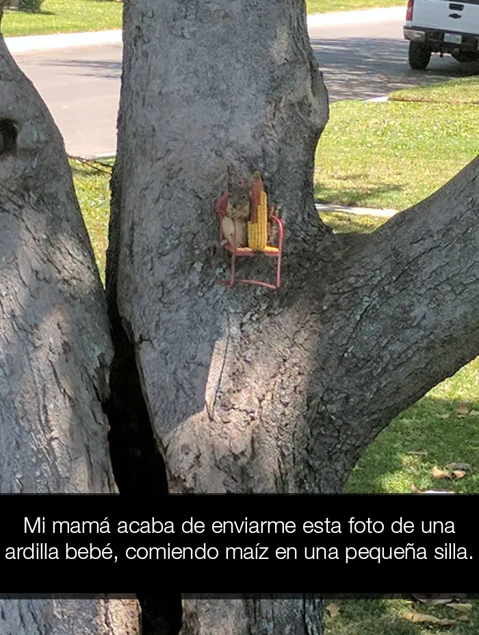 Snapchats